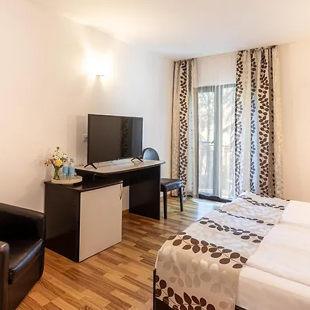 Hotel Anina 3*