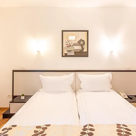 Hotel Anina Techirghiol